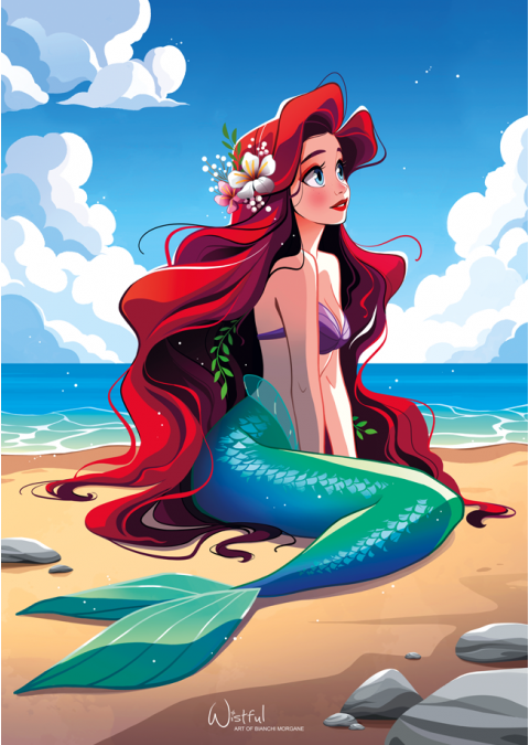 Ariel sur la plage